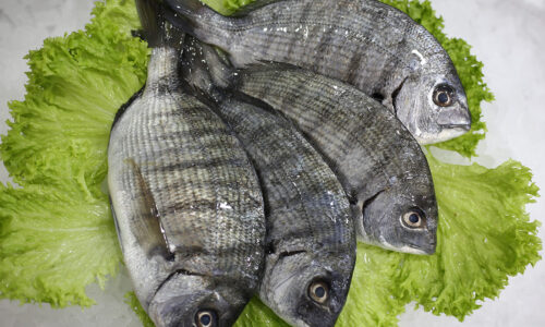 Livraison de poissons • Poissonnerie • Restaurant • Traiteur à Anderlecht