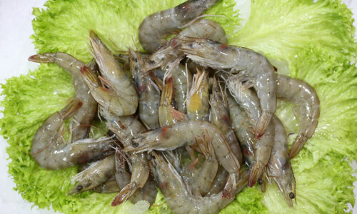 Crevette fraîche | Livraison de poissons • Poissonnerie • Restaurant • Traiteur à Anderlecht