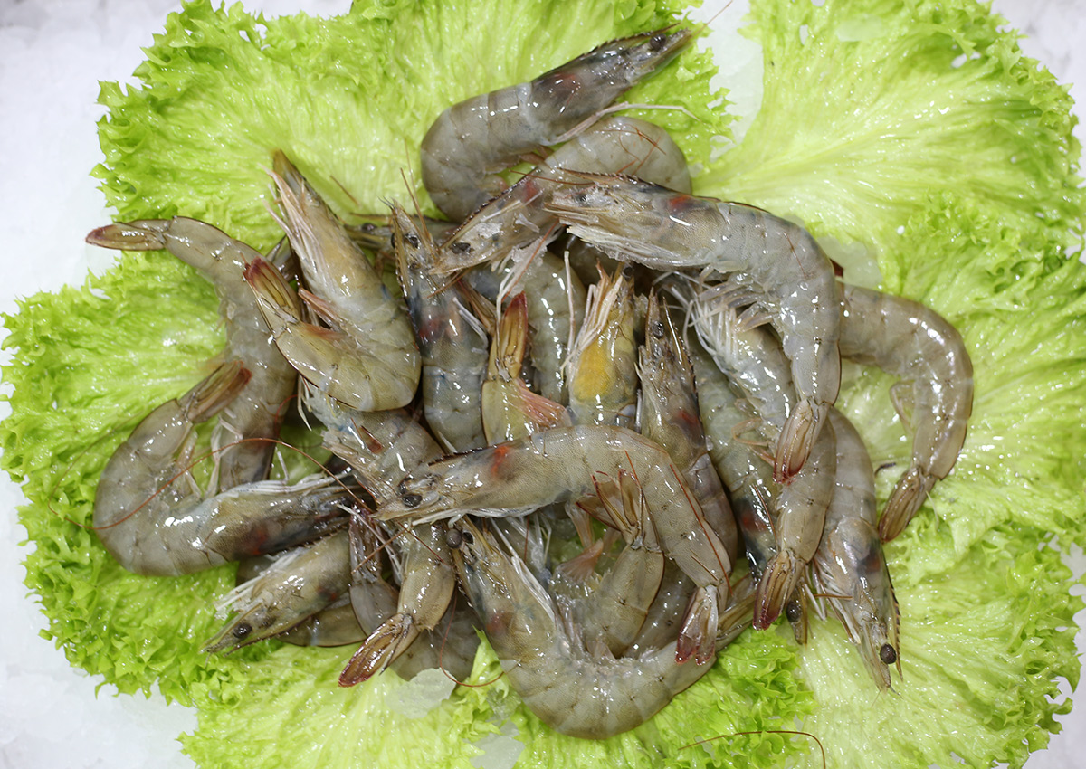 Crevette fraîche | Livraison de poissons • Poissonnerie • Restaurant • Traiteur à Anderlecht