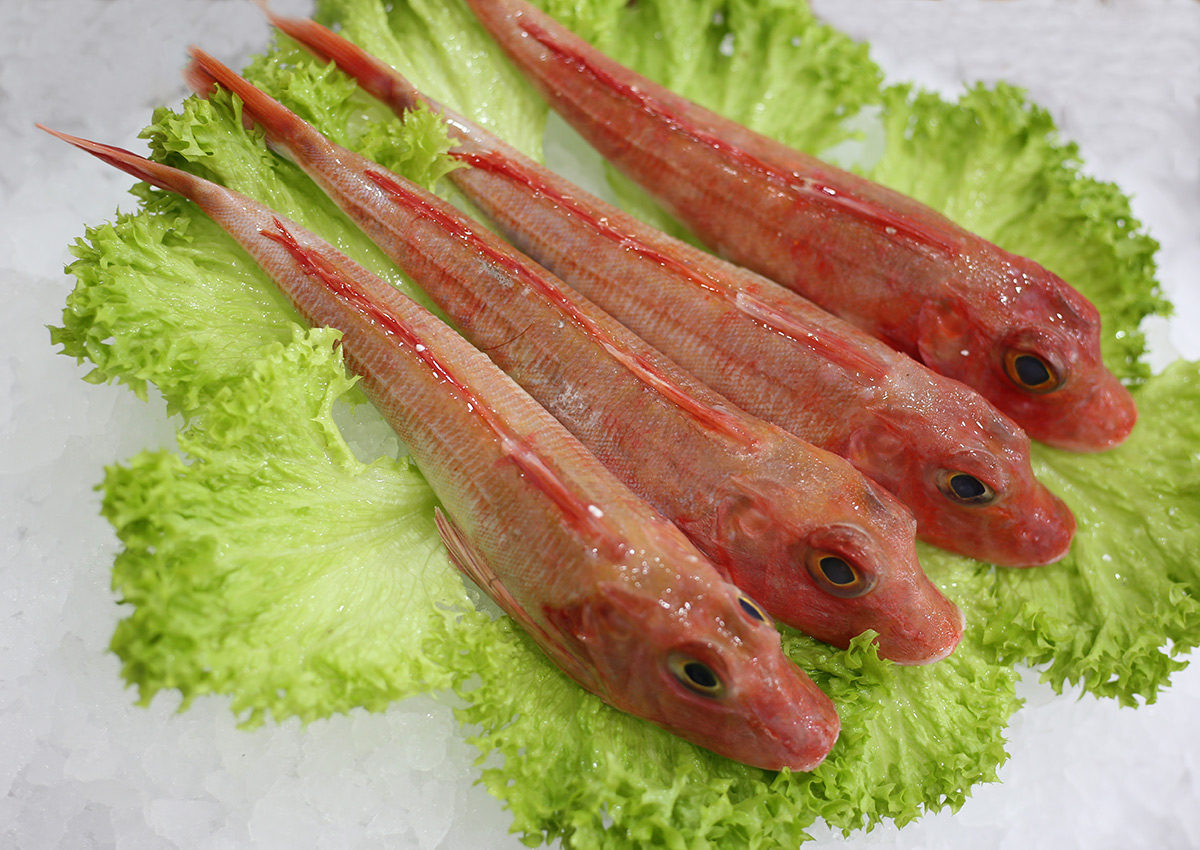 Rouget grondin | Livraison de poissons • Poissonnerie • Restaurant • Traiteur à Anderlecht