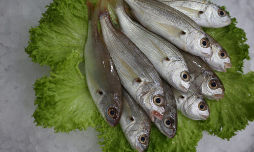 Borabo | Livraison de poissons • Poissonnerie • Restaurant • Traiteur à Anderlecht