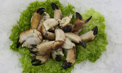 Pinces de crabe | Livraison de poissons • Poissonnerie • Restaurant • Traiteur à Anderlecht