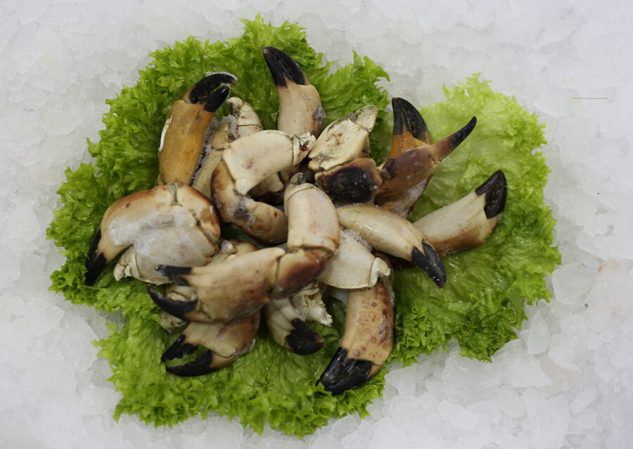Pinces de crabe | Livraison de poissons • Poissonnerie • Restaurant • Traiteur à Anderlecht