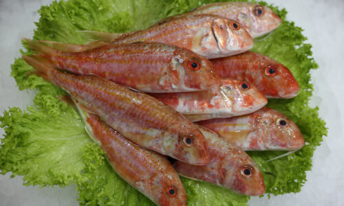 Rouget-barbet | Livraison de poissons • Poissonnerie • Restaurant • Traiteur à Anderlecht