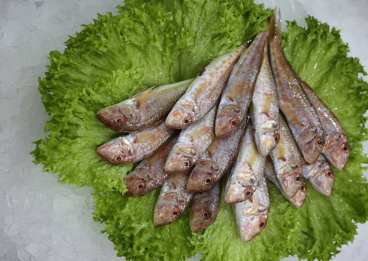 Friture de rouget-barbet | Livraison de poissons • Poissonnerie • Restaurant • Traiteur à Anderlecht