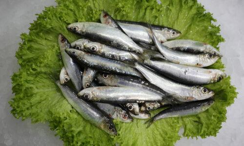 Petite sardinne | Livraison de poissons • Poissonnerie • Restaurant • Traiteur à Anderlecht
