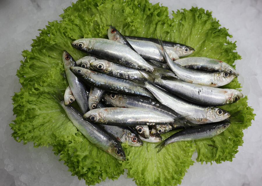 Petite sardinne | Livraison de poissons • Poissonnerie • Restaurant • Traiteur à Anderlecht
