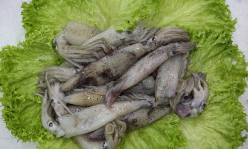 Chepereoness | Livraison de poissons • Poissonnerie • Restaurant • Traiteur à Anderlecht