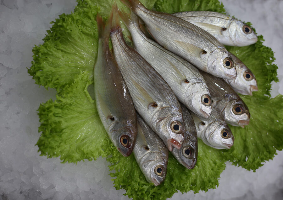 Borabo | Livraison de poissons • Poissonnerie • Restaurant • Traiteur à Anderlecht